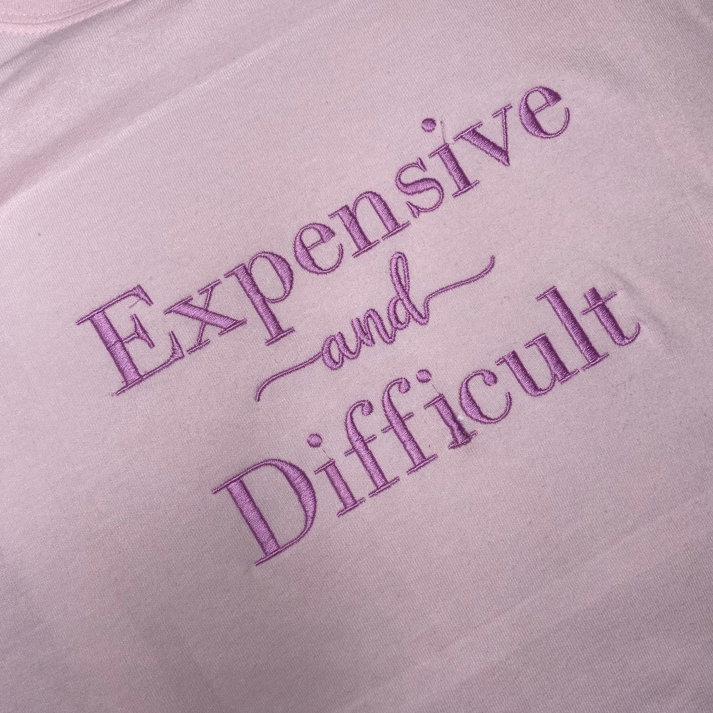Expensive and Difficult, Embroidered T Shirt,