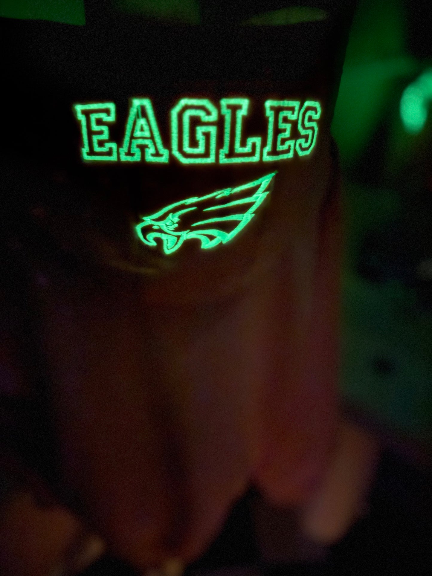 EAGLES, Pink Hoodie, Glow in the Dark , Embroidered Hood and Chest Hoodie | C'est Martine