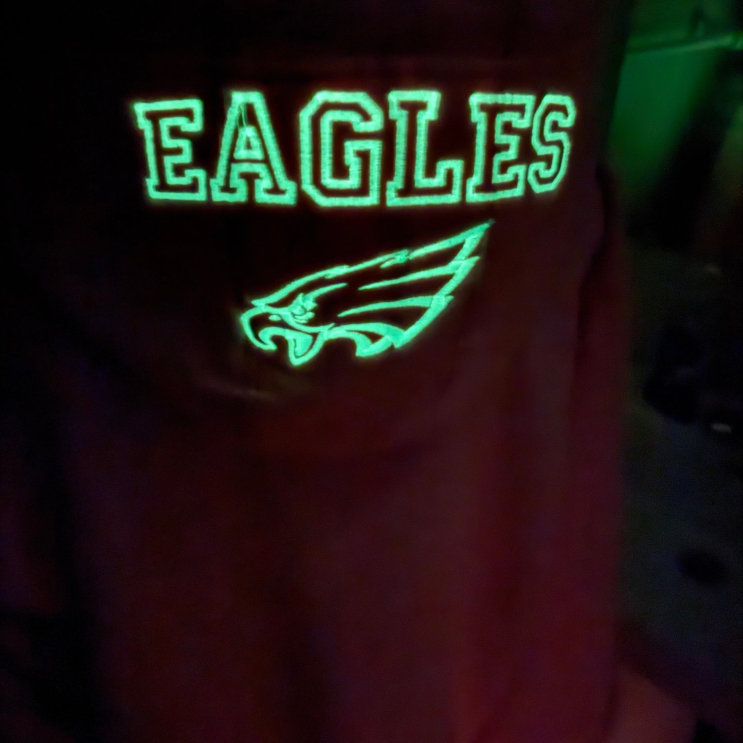 EAGLES, Pink Hoodie, Glow in the Dark , Embroidered Hood and Chest Hoodie | C'est Martine