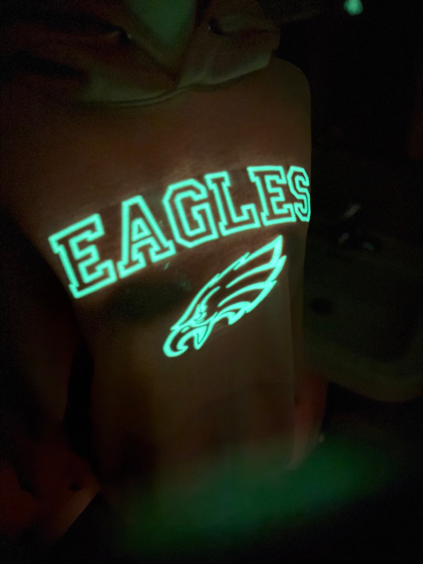 EAGLES, Pink Hoodie, Glow in the Dark , Embroidered Hood and Chest Hoodie | C'est Martine