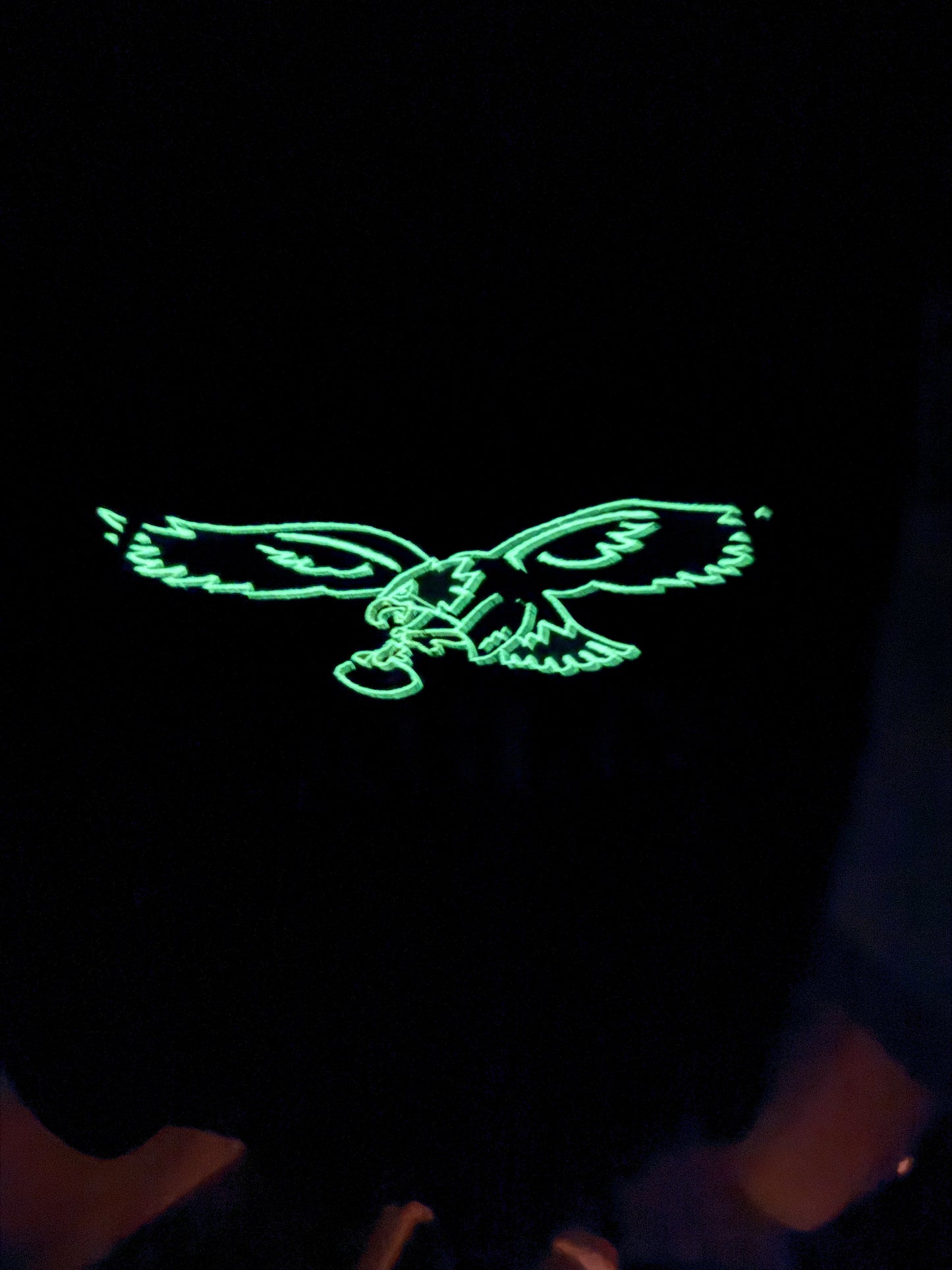 EAGLES Football Season Glow in the Dark Philadelphia Eagles Embroidered Hood and Chest Hoodie | C'est Martine