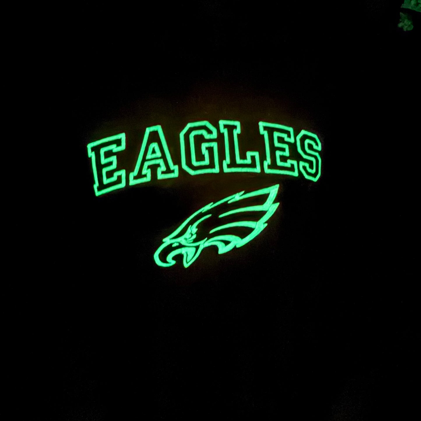 EAGLES, Pink Hoodie, Glow in the Dark , Embroidered Hood and Chest Hoodie | C'est Martine