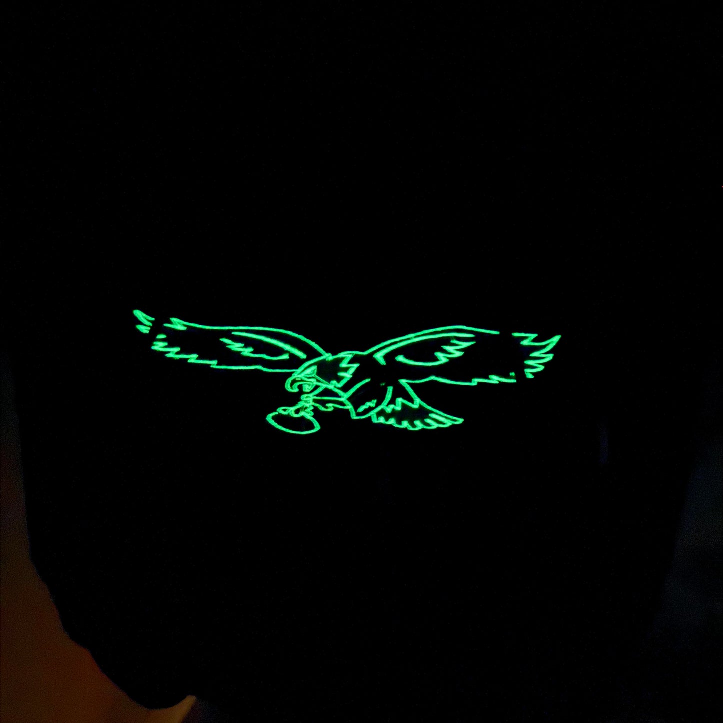 EAGLES Football Season Glow in the Dark Philadelphia Eagles Embroidered Hood and Chest Hoodie | C'est Martine