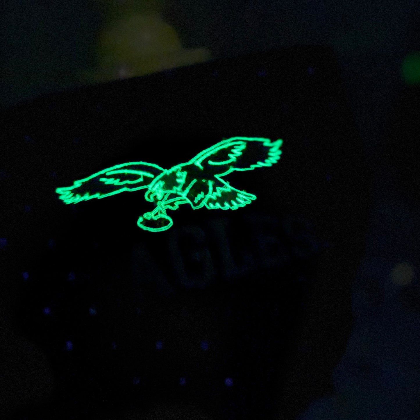EAGLES Football Season Glow in the Dark Philadelphia Eagles Embroidered Hood and Chest Hoodie | C'est Martine