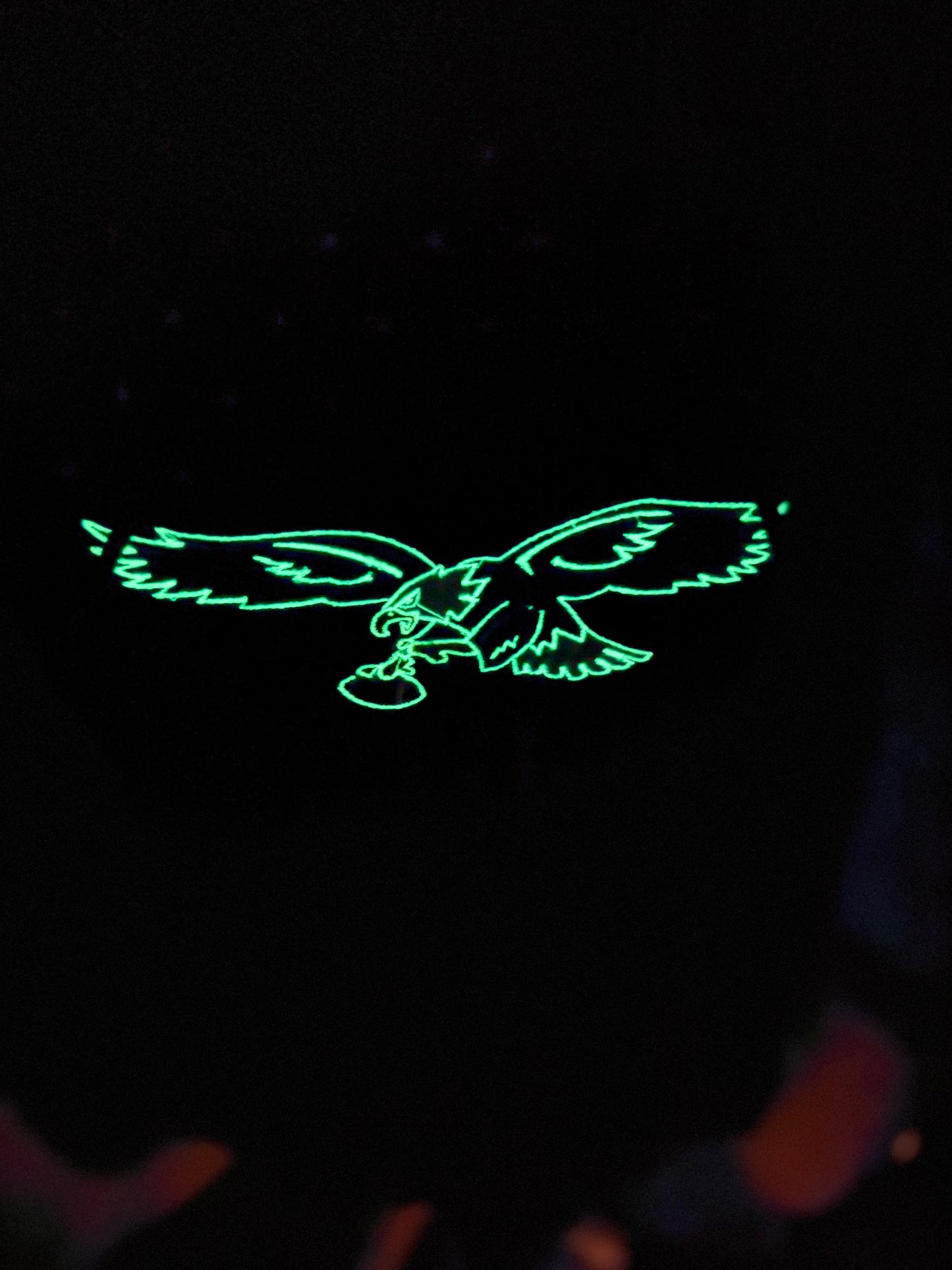 EAGLES Football Season Glow in the Dark Philadelphia Eagles Embroidered Hood and Chest Hoodie | C'est Martine